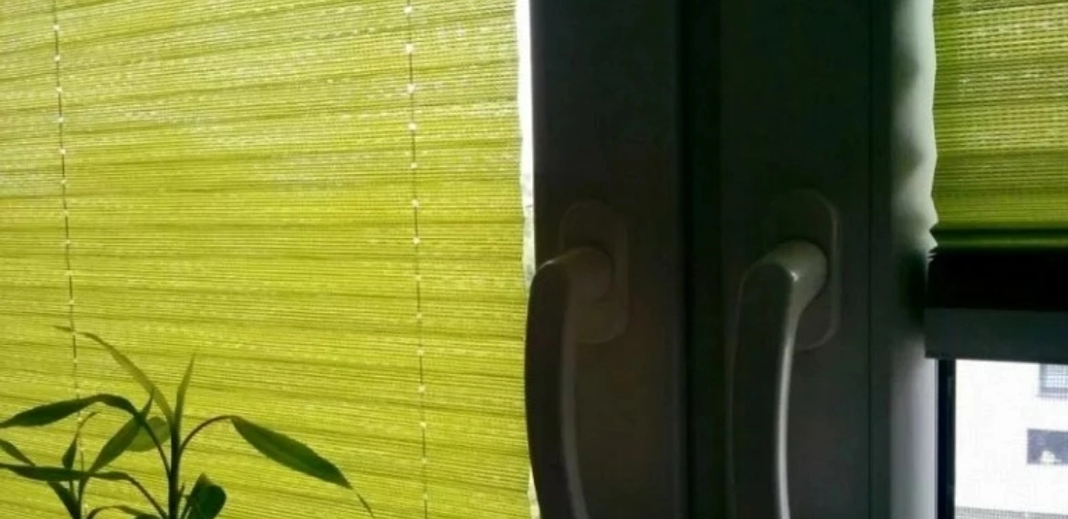 zielone osłony okienne